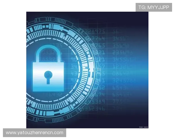 真人视讯app官网如何确保用户隐私安全，全面详细的安全保护措施