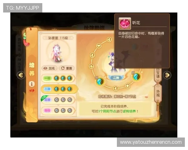 如何在888真人娱乐中提升游戏技巧实现更高的胜率与收益