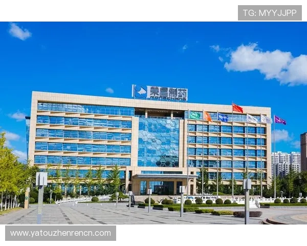 探索k8凯发数字站的安全保障措施确保玩家资金与信息安全的详细指南